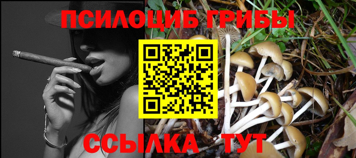 Камень-на-Оби  Псилоцибиновые грибы мухоморы  Вход с VPN 